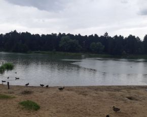 20190626_122126.jpg